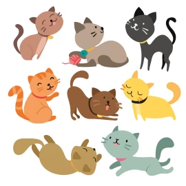 Qual raça de gato é mais carinhosa?