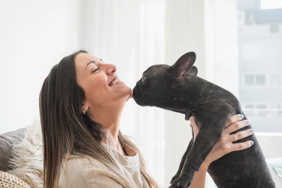 Por que o cachorro lambe a gente? Entenda o que ele quer dizer