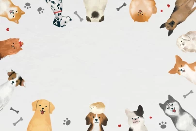 Qual raça de cachorro mais inteligente?