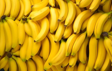 Cachorro pode comer banana?